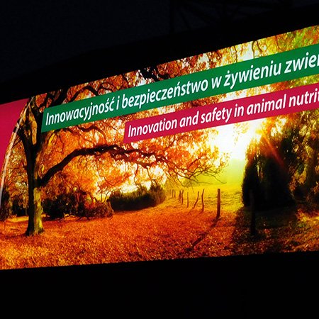 Szyldy Reklamowe - Warszawa