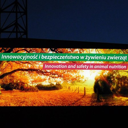 Szyldy Reklamowe - Warszawa